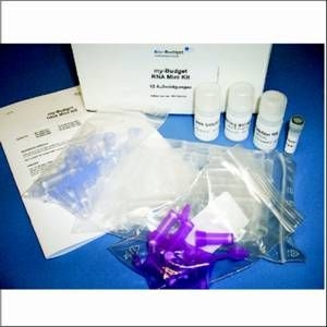 https://www.biobudget-shop.de/4956//my_budget_br_dna_mini_kit