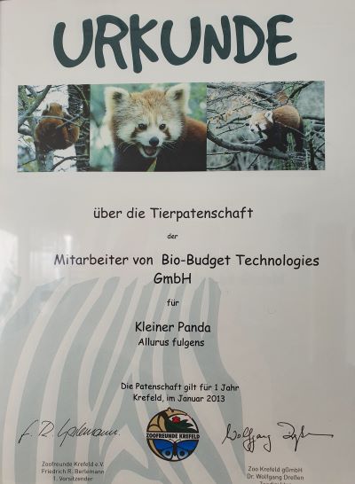 Bio-Budget Urkunde Tierpatenschaft Kleiner Panda 2013
