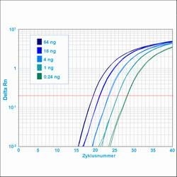 Bild 1 von my-Budget 5x EvaGreen (R) QPCR-Mix II  / (Volumen) 10 x 1.000 µl