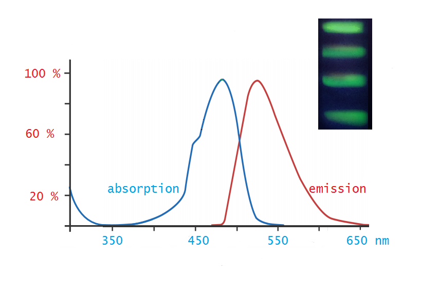 Bild 1 von DNA/RNA Stain Green 50 µl