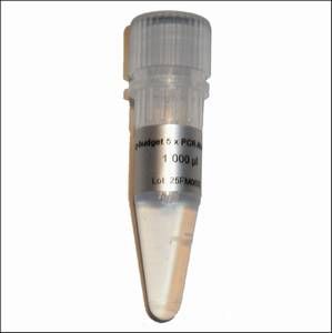 Bild 1 von my-Budget 5x Hot-Start Taq <br> GC-Mastermix  / (Volumen) 1 x 1.000 µl