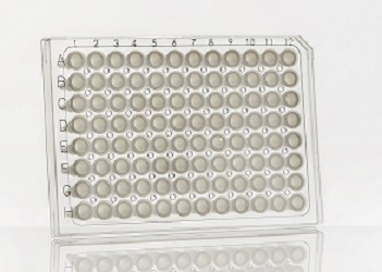 Bild 1 von FrameStar® <br>96-Well PCR-Platten QPCR<br>Semi-Skirted, frosted
