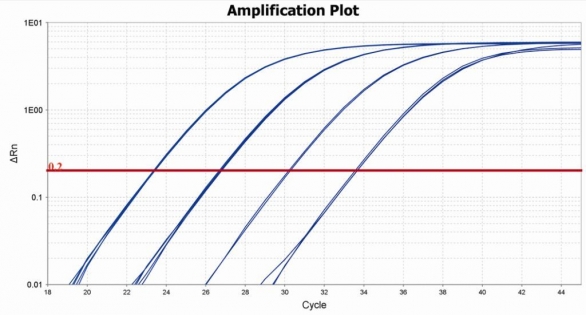 Bild 1 von my-Budget 5x EvaGreen (R) QPCR-Mix Plus  / (Volumen) 10 x 1.000 µl