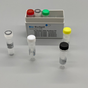Bild 1 von my-Budget cDNA-Synthese Kit