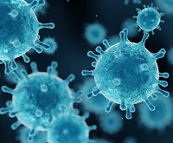 Bild 1 von my-Budget <br>Virus RNA Kit für Abstriche  / (250 Präparationen) mit Swabs