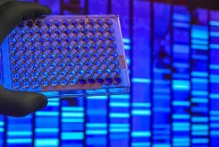 Bild 1 von my-Budget 5x QPCR-Mix II FAST <br>(no ROX)  / (Volumen) 10 x 1.000 µl