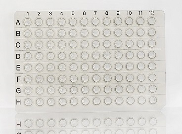 Bild 1 von 96-Well PCR-Platten<br> perforiert <br>schwarze A/N-Matrix