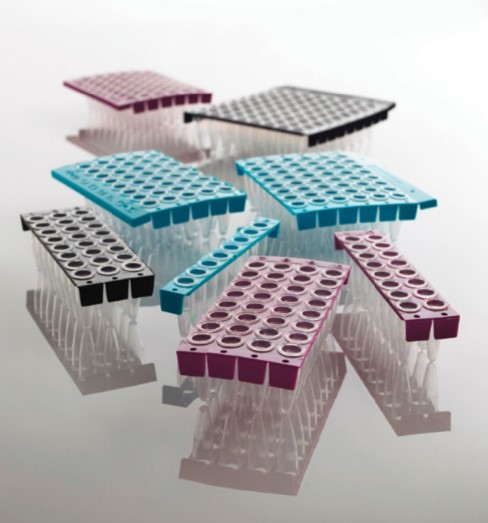 Bild 1 von FrameStar® <br>96-Well PCR-Platten <br> semi-skirted, low profile, perforiert