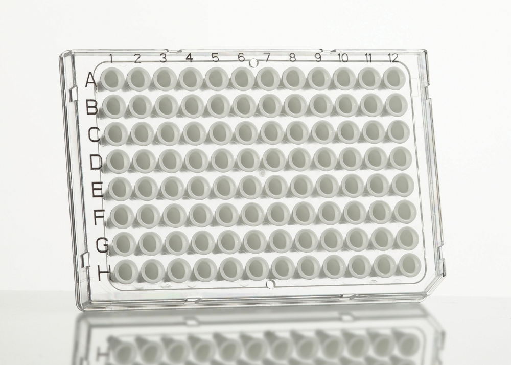 Bild 1 von FrameStar® 96-Well PCR-Platten QPCR " für Roche LC 480 und LC 96"