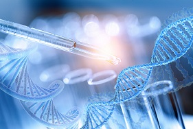 Bild 1 von DNA-Isolierungskits <br>PurePrep Mini  / (PurePrep DNA-Kits) Plant DNA Kit (96)