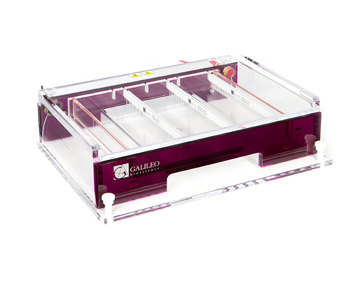 Bild 1 von Kamm / Kämme <br> für Maxigelsysteme  / (Kammergröße) 20 x 25 / (Kammdicke) 1,0 mm / (Anzahl Zähne) 42 Zähne 2 x Mikrotiter