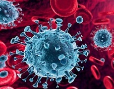 Bild 1 von my-Budget <br>Virus DNA/RNA Kit  / (Präparationen) 250 Präparationen