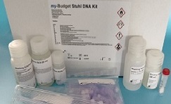 Bild 1 von my-Budget<br>  Stuhl DNA Kit