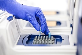 Bild 1 von my-Budget 5x PCR-Mastermix FAST  <br> Ready to Load  / (Volumen) 5 x 1.000 µl