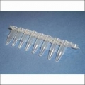 my-Budget 8er-Strips mit Einzeldeckeln - 120 Strips, flacher Deckel