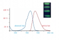 DNA/RNA Stain Green 50 µl  / (Volumen) 1.000 µl