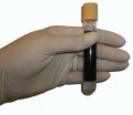 my-Budget <br>Blood DNA Mini Kit