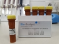 Bild 2 von my-Budget 5x EvaGreen (R) QPCR-Mix II (ROX)