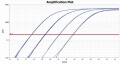 my-Budget 5x EvaGreen (R) QPCR-Mix Plus