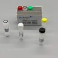 my-Budget cDNA-Synthese Kit  / (Anzahl Reaktionen) 20