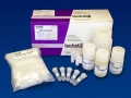 Xtreme DNA Isolation Kit  / (Präparationen) 50