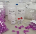  my-Budget <br> Virus RNA Kit für Abstriche