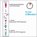 my-Budget <br>PCR-Aufreinigungskit